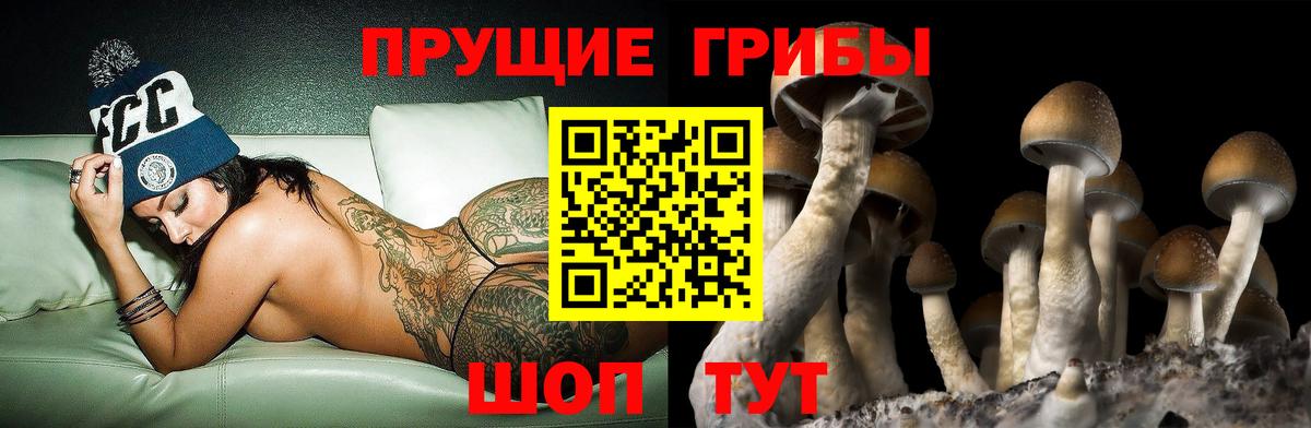 Галлюциногенные грибы ЛСД Сергиев Посад