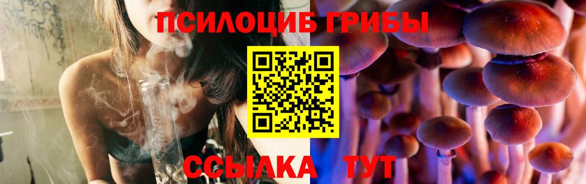 Сергиев Посад  Псилоцибиновые грибы Psilocybe  Вход с VPN 